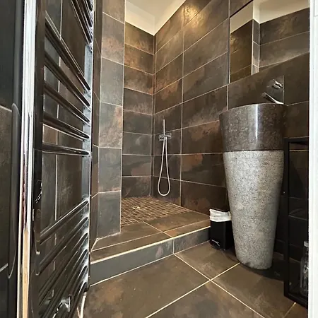 120 M2 En Ultra Centre De St-etienne * סן-אטיין