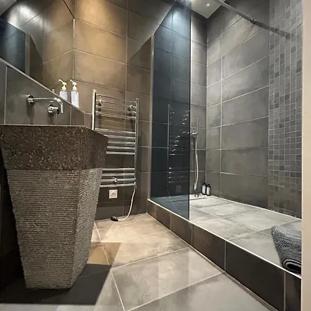 דירה 120 M2 En Ultra Centre De St-etienne *
